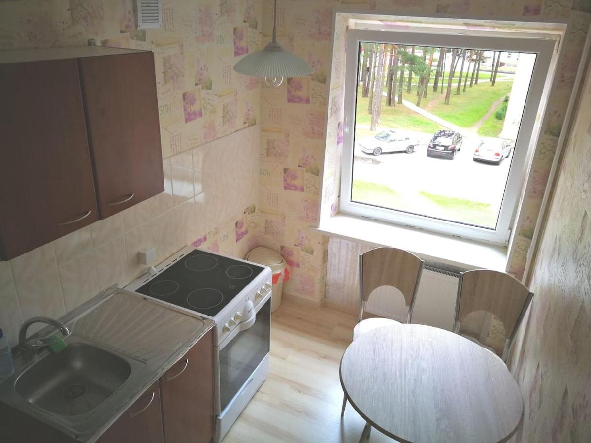Light One Room Apartment Visaginas Kültér fotó